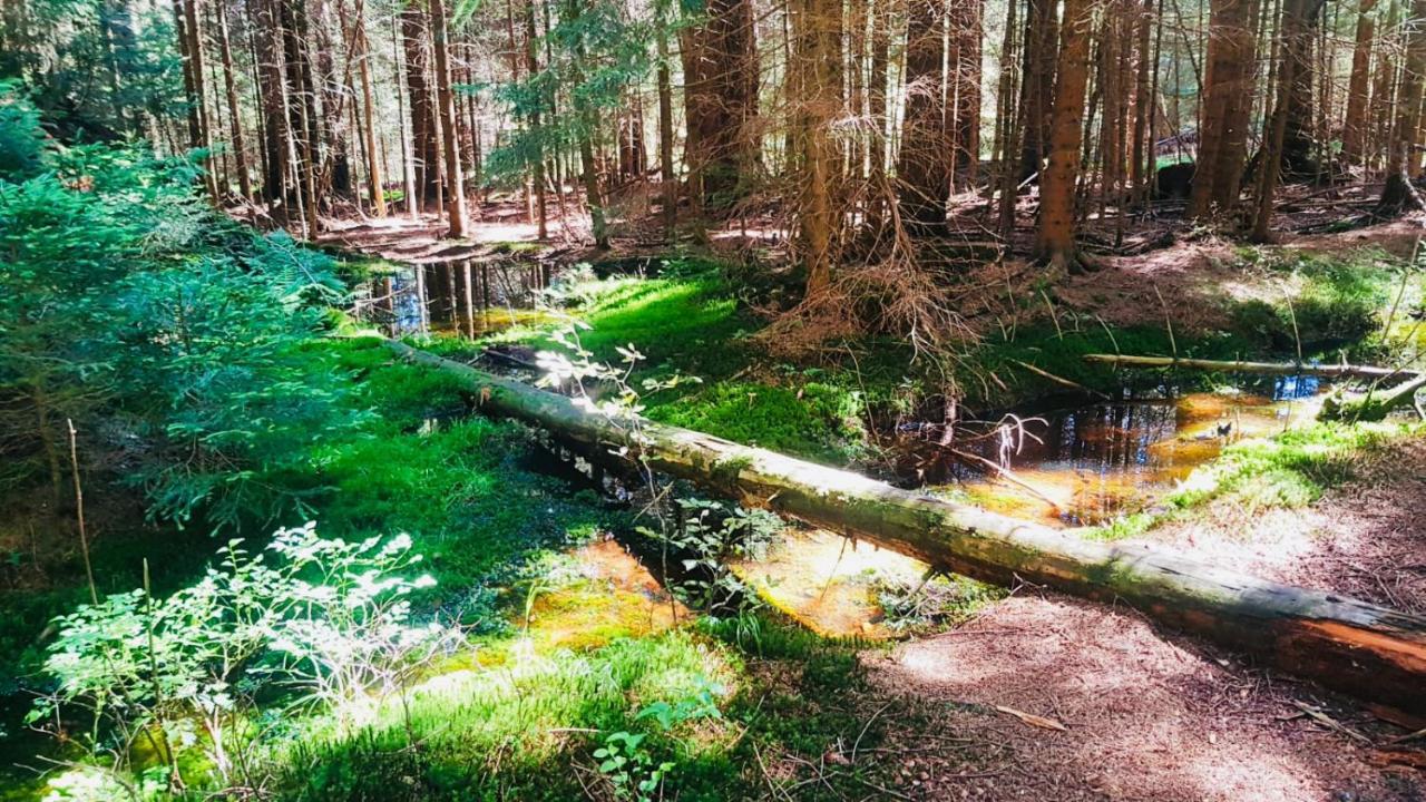 Apartmán U Sedmikrásky Vaclavov u Bruntalu Exteriér fotografie
