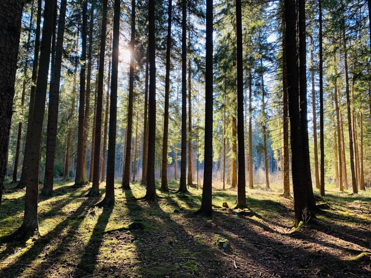 Apartmán U Sedmikrásky Vaclavov u Bruntalu Exteriér fotografie