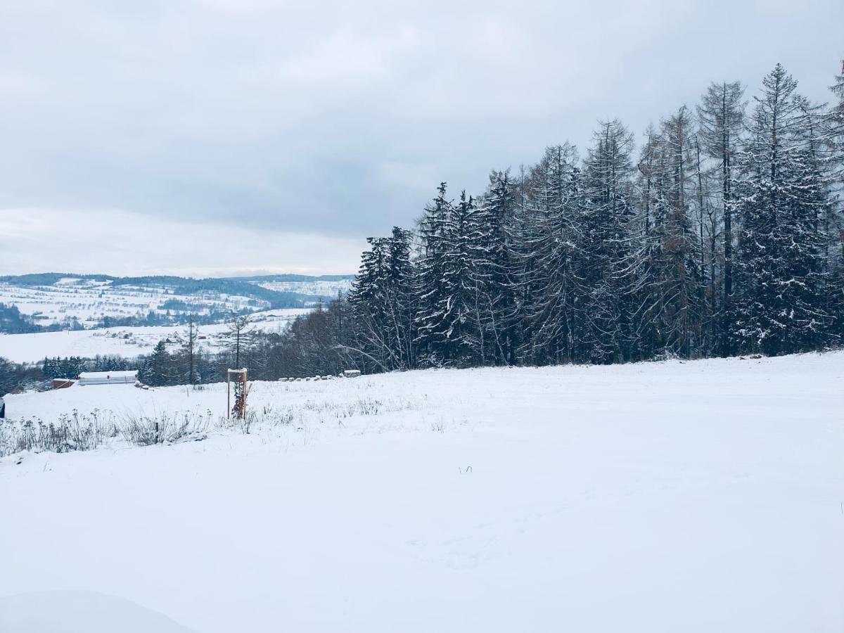 Apartmán U Sedmikrásky Vaclavov u Bruntalu Exteriér fotografie